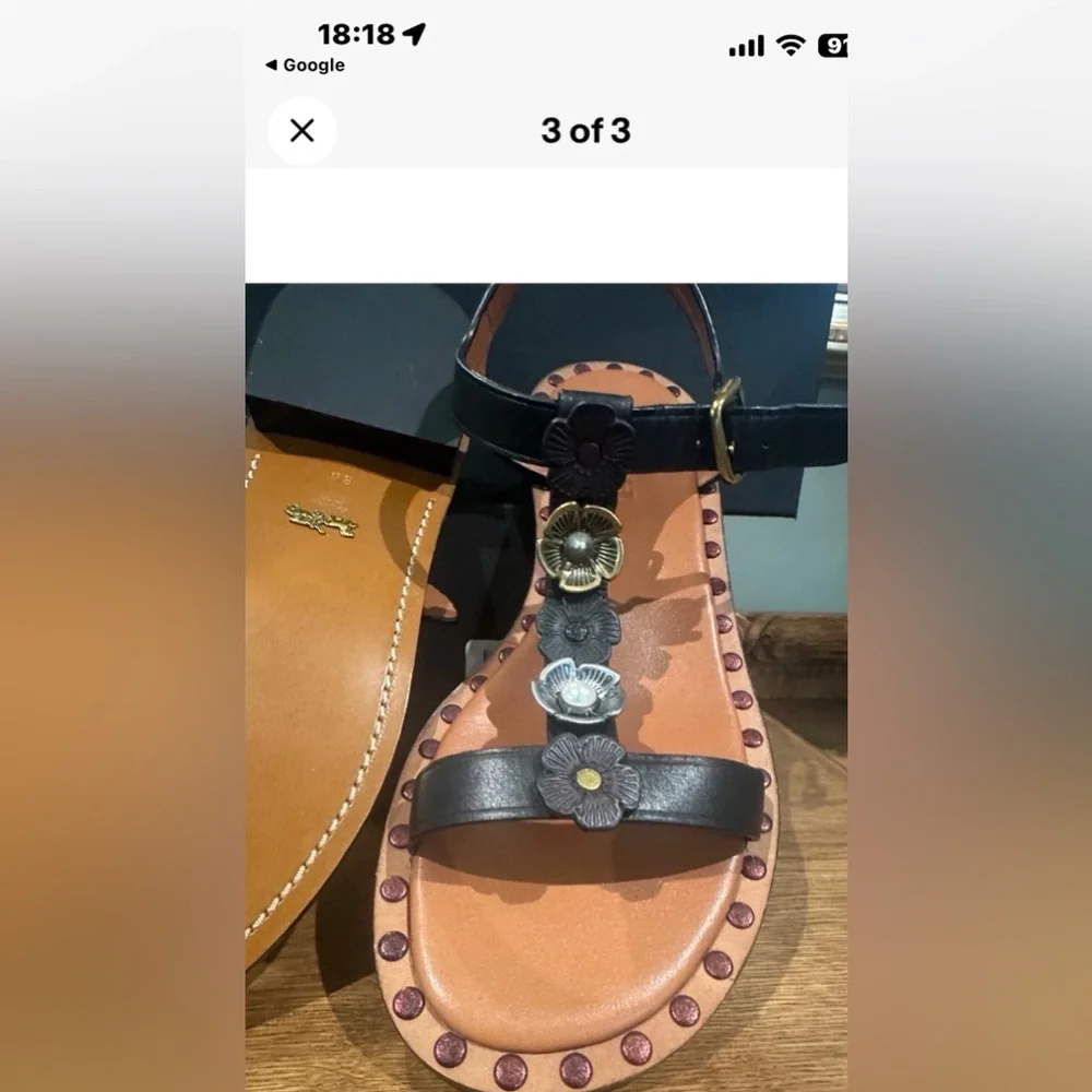 Coach Tea Rose sandals